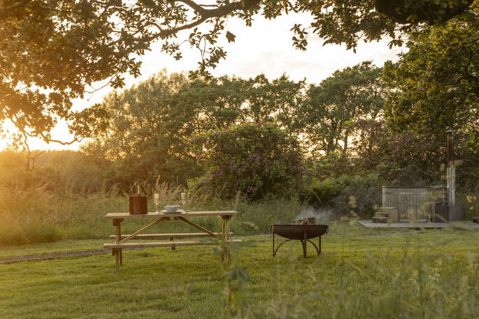Garden at sunset