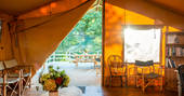 Withy Bed Camp, Stock Gaylard, Sturminster Newton, Dorset (29)