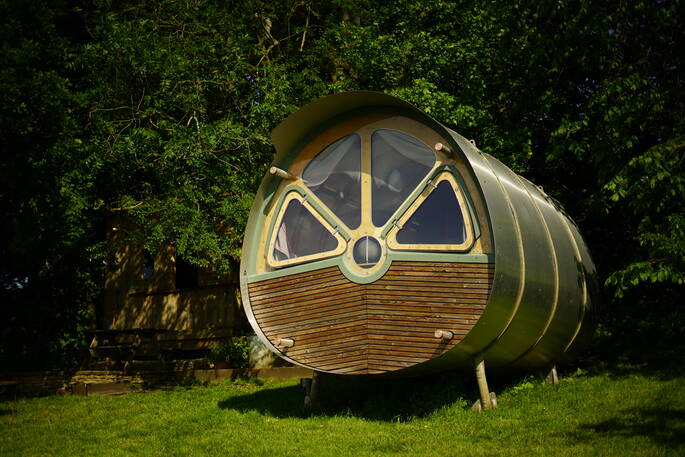sunny fuselage