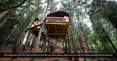 Puckshipton Treehouse elevated between the trees in the Wiltshire Woods